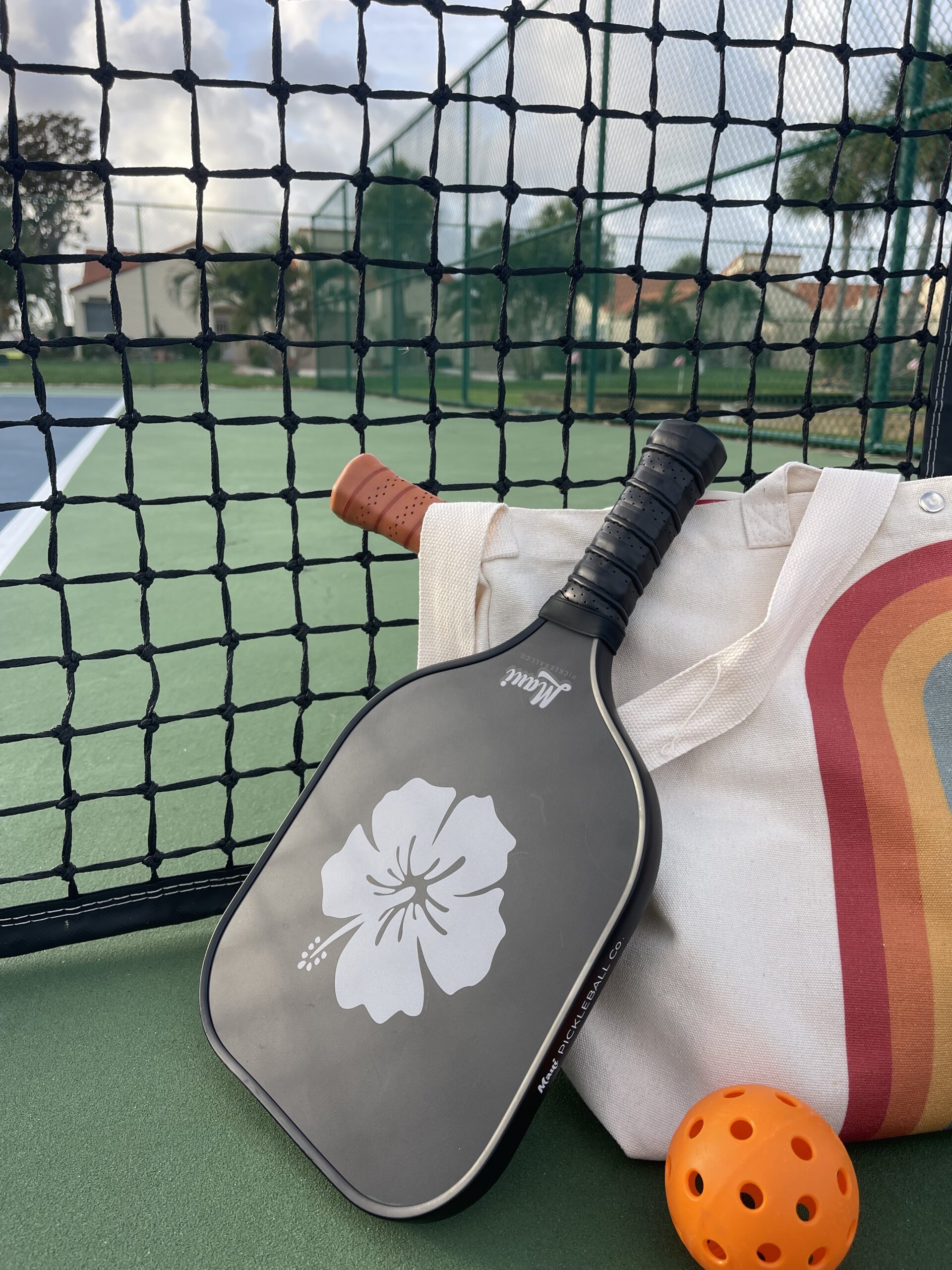 Rule 1 Supplements and Pickleball Gear