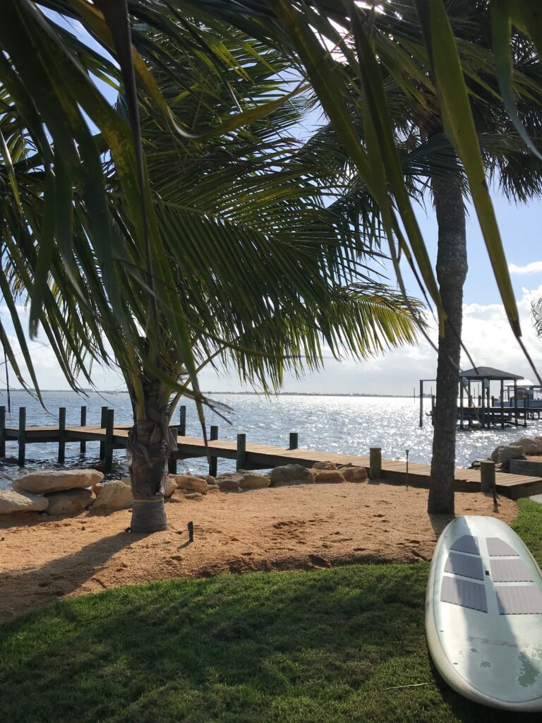 Palm trees and a dock on the Space Coast