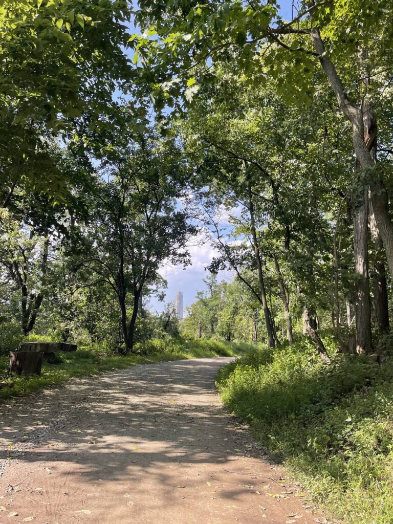Shaded wooded trail in Schenley Park with the Cathedral of Learning visible through the trees