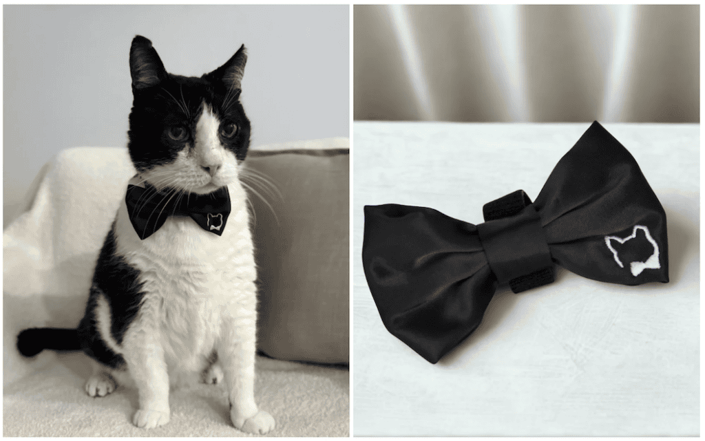 Mr. Binx the tuxedo cat wearing a Binxties signature black bow tie, shown beside the bow tie itself